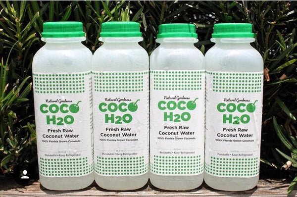 Raw Florida Coconut Water- 6pack of 16oz bottles
