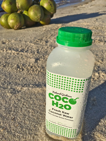 Raw Florida Coconut Water- 6pack of 16oz bottles