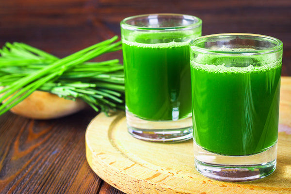 Frozen Wheatgrass Shots